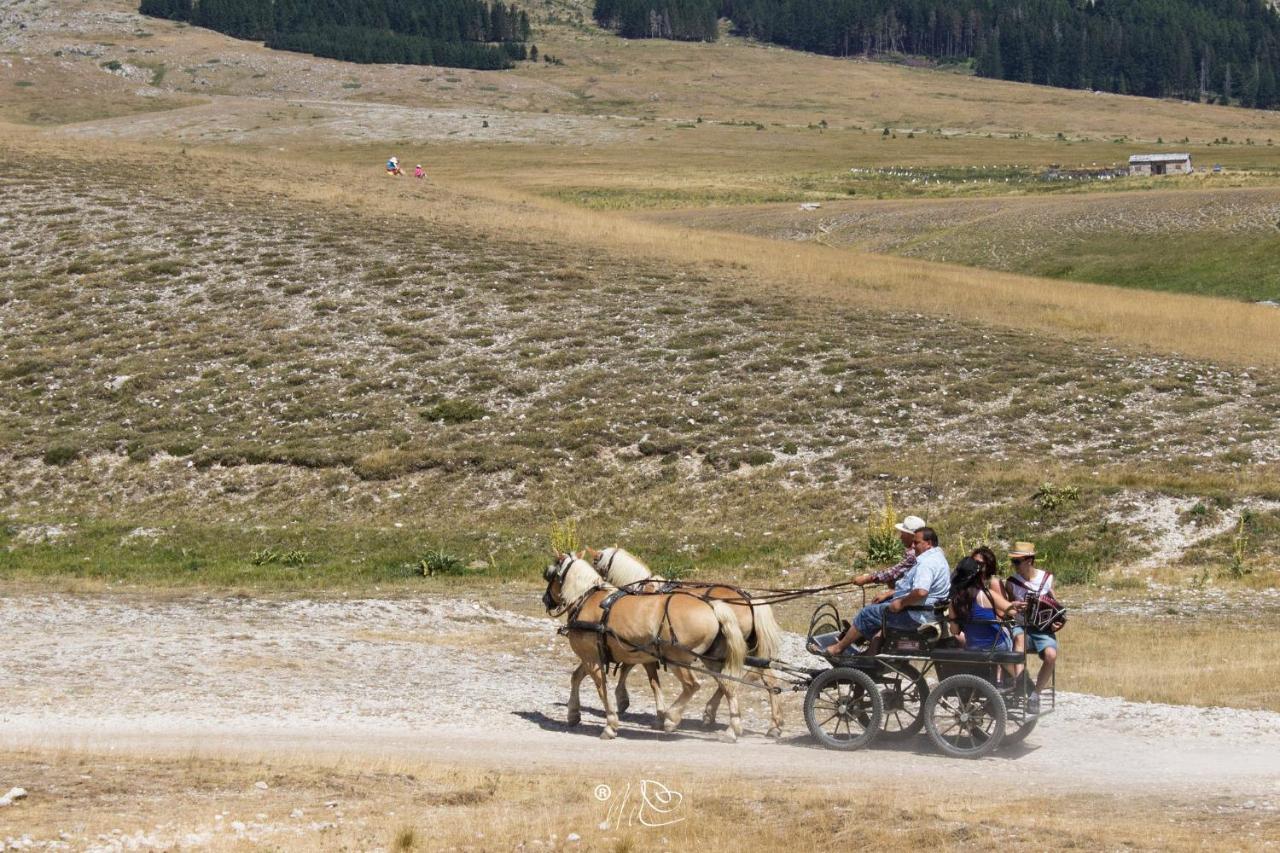 Alloggio Del Fiume - Le Vecchie Vasche Scoppito Dış mekan fotoğraf